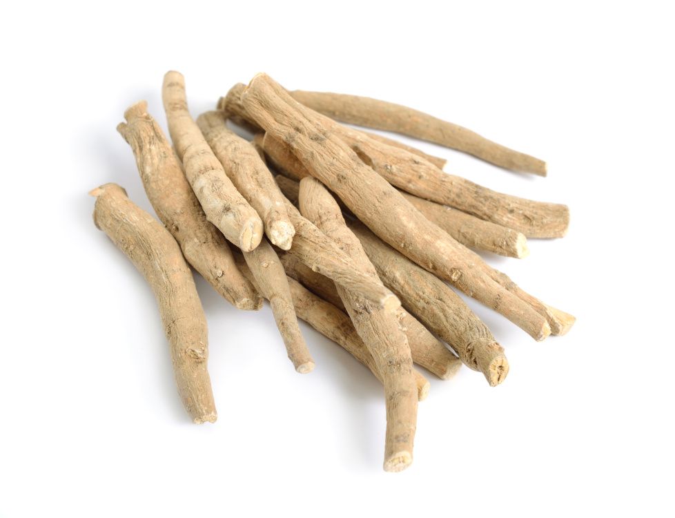 Ashwagandha – Withania somnifera