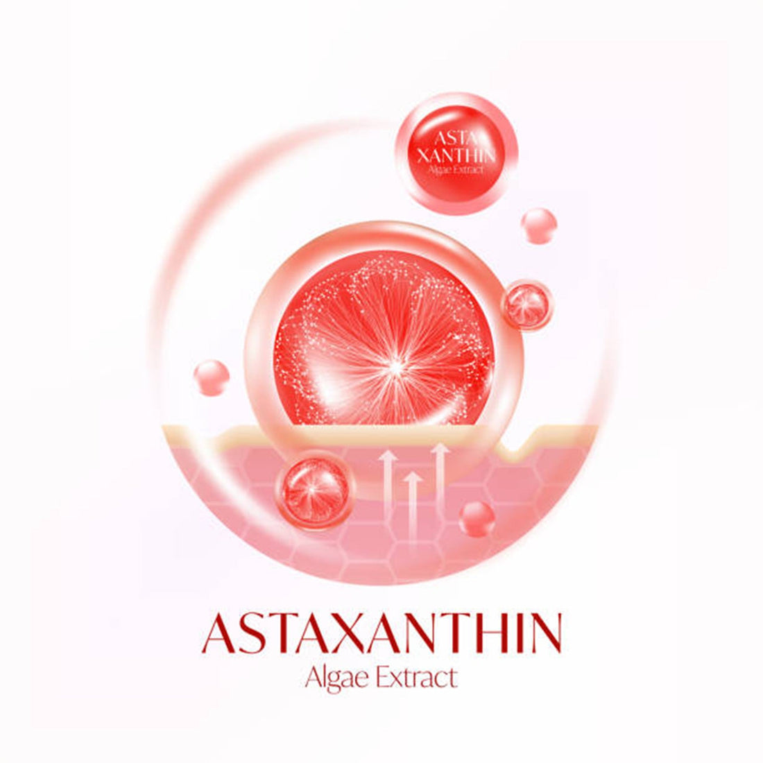 Astaxanthin - Supper Antioxidant