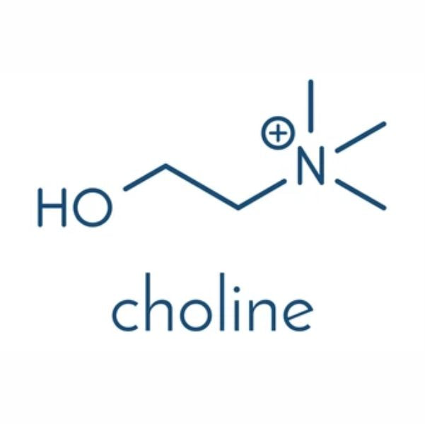 Choline