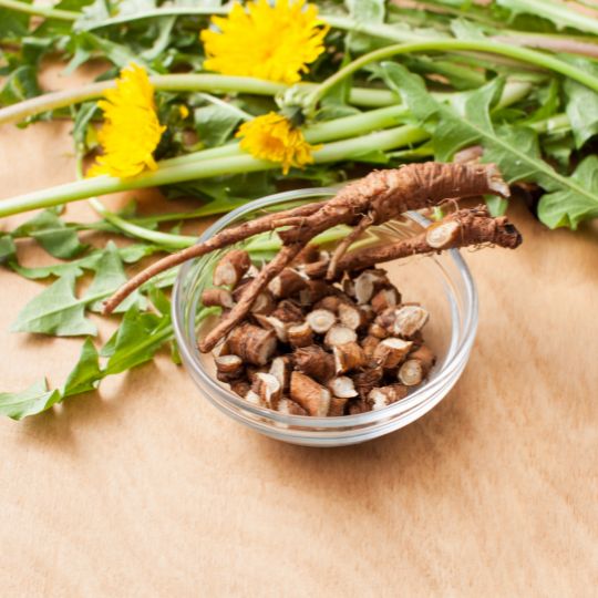 Dandelion Root (Taraxacum officinale)