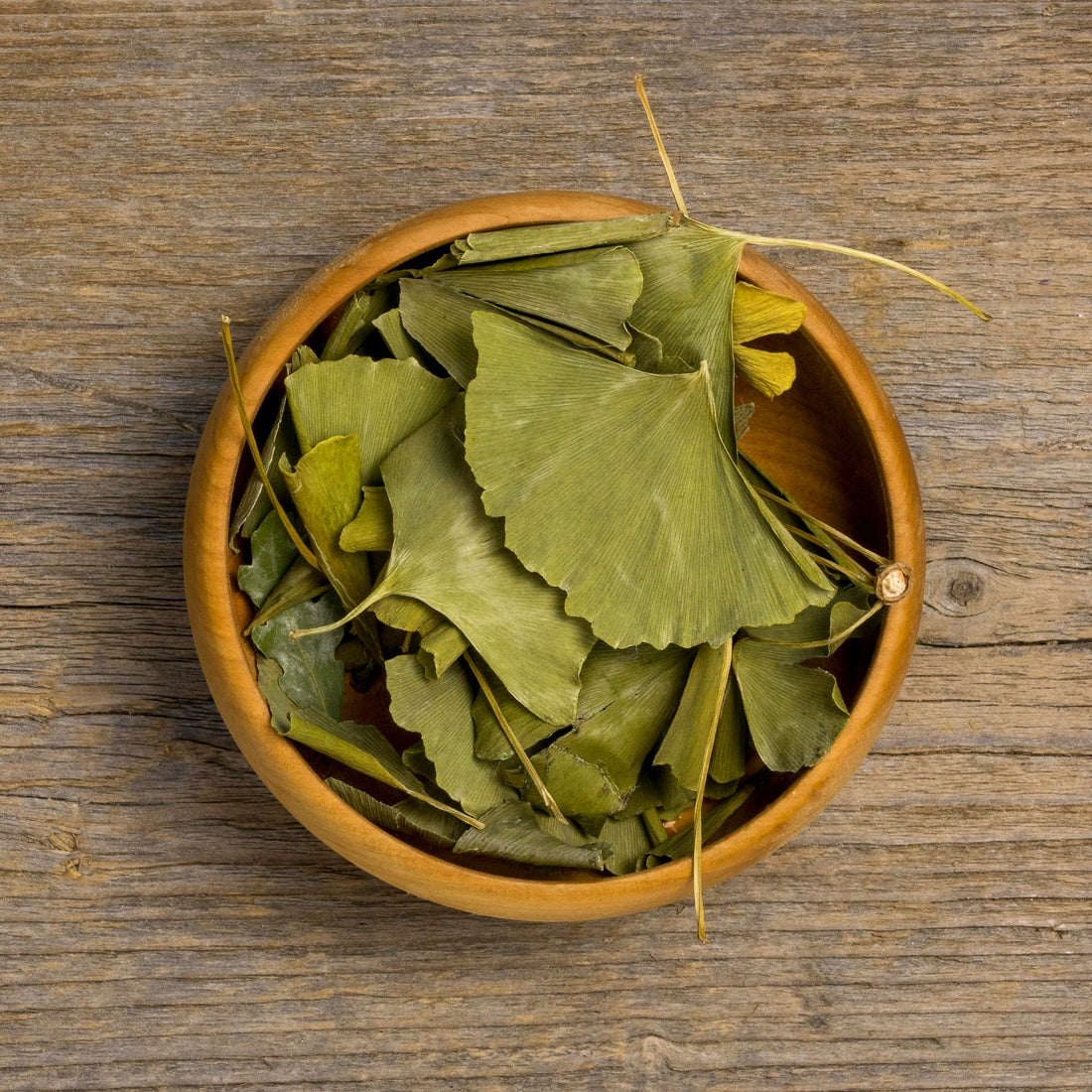 Ginkgo Biloba - Supports Memory, Focus, Mood Balance, and Ear Health.
