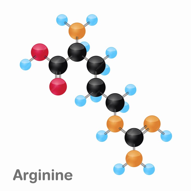 L-Arginine for Heart & Circulation Support