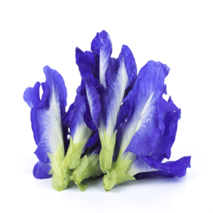 Shankhpushpi (Convolvulus pluricaulis)