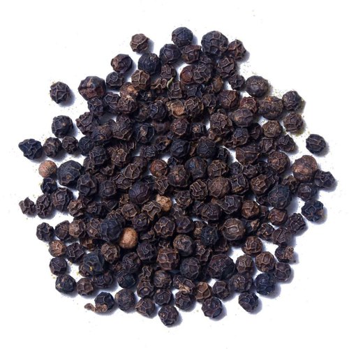 Black pepper (Piper nigrum)