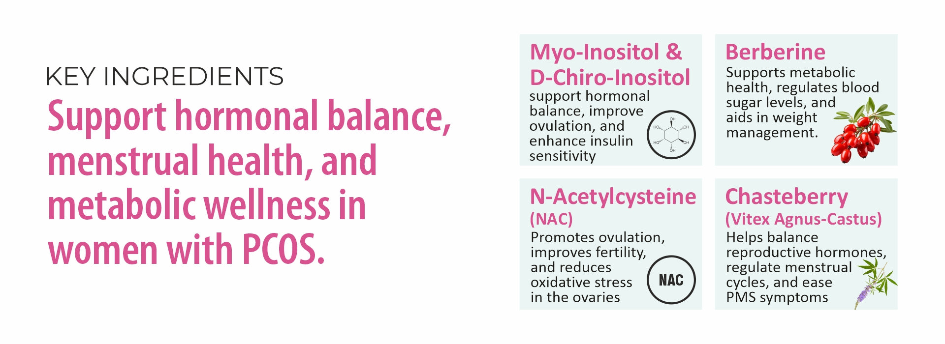 List of key ingredients for hormonal balance and metabolic wellness in women with PCOS, including Myo-Inositol, D-Chiro-Inositol, N-Acetyl-Cysteine, Berberine, and Chasteberry.