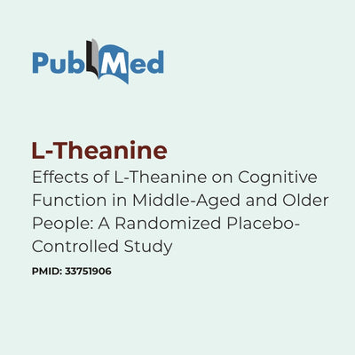 PubMed logo with a study title about L-Theanine effects on cognitive function.