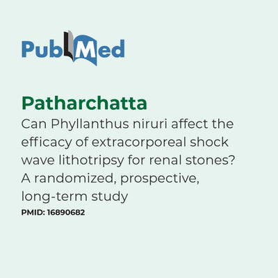 PubMed logo with text about a study on Phyllanthus niruri and extracorporeal shock wave lithotripsy.