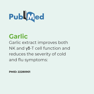 PubMed logo with text about garlic extract's effects on immune cells and cold/flu symptoms.