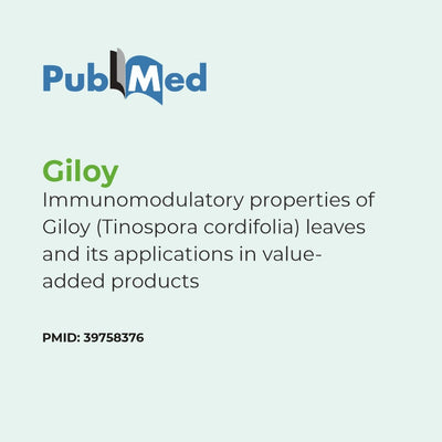 research card with PubMed logo and text about Giloy and its immunomodulatory properties.