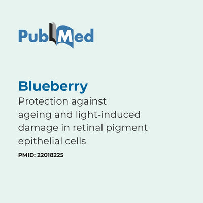 PubMed logo with text about blueberry protection against ageing and light-induced damage in retinal pigment epithelial cells.
