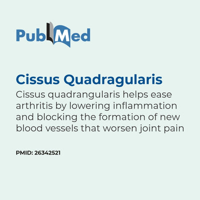 PubMed document about Cissus Quadrangularis for arthritis relief on a light blue background
