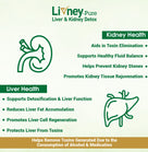 Livney Pure Liver and Kidney Detox product description with icons and text on a green background