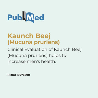 PubMed logo with text about Kaunch Beej and its clinical evaluation on a light blue background
