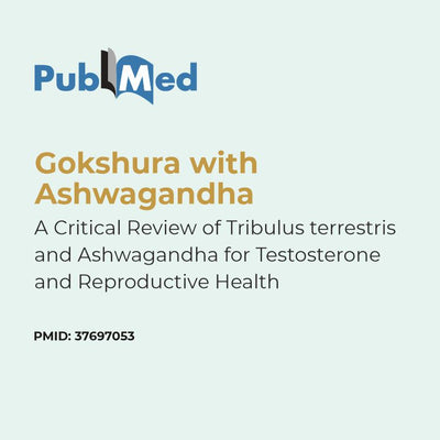 PubMed logo with text about a scientific review on Tribulus terrestris and Ashwagandha for testosterone and reproductive health.