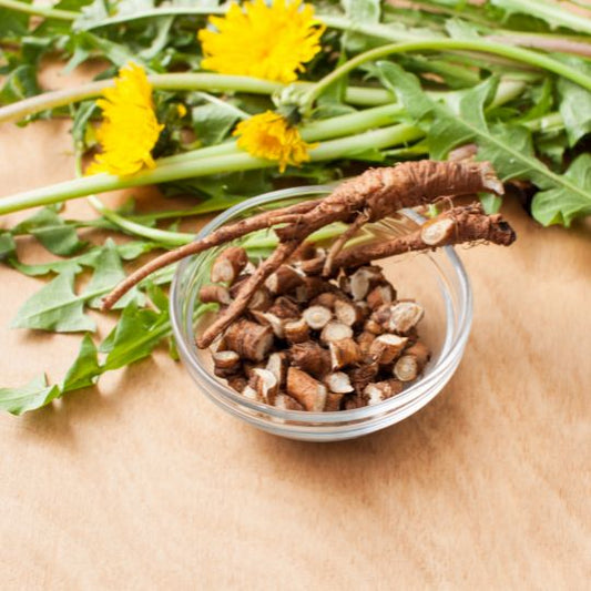 Dandelion Root (Taraxacum officinale)