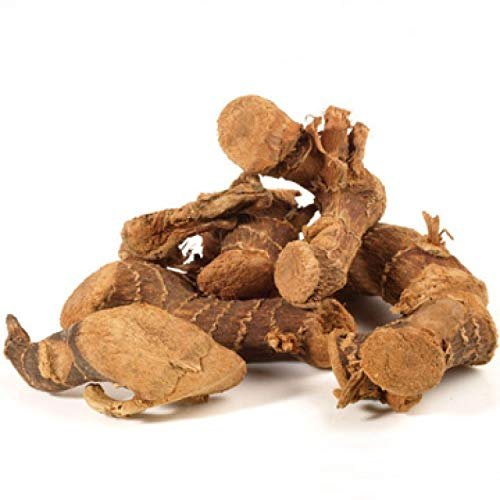 Kulanjan (Greater Galangal – Alpinia galanga)