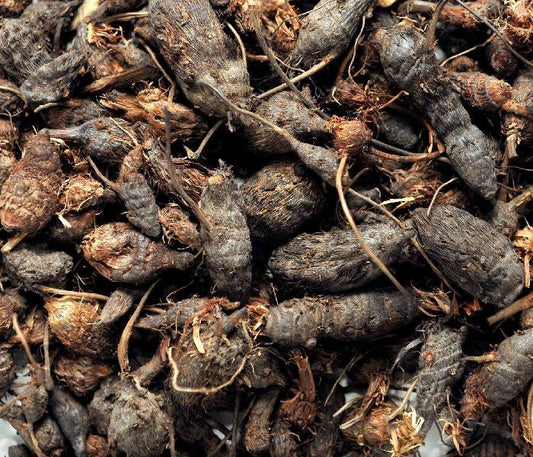 Nagarmotha (Nutgrass)