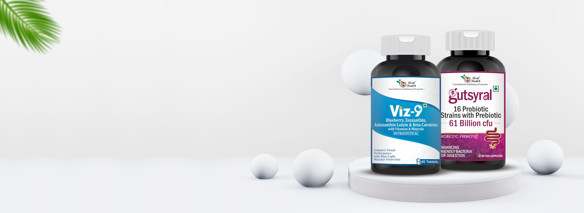  'Viz-9' and 'Gutsyral' on a white background with decorative elements.
