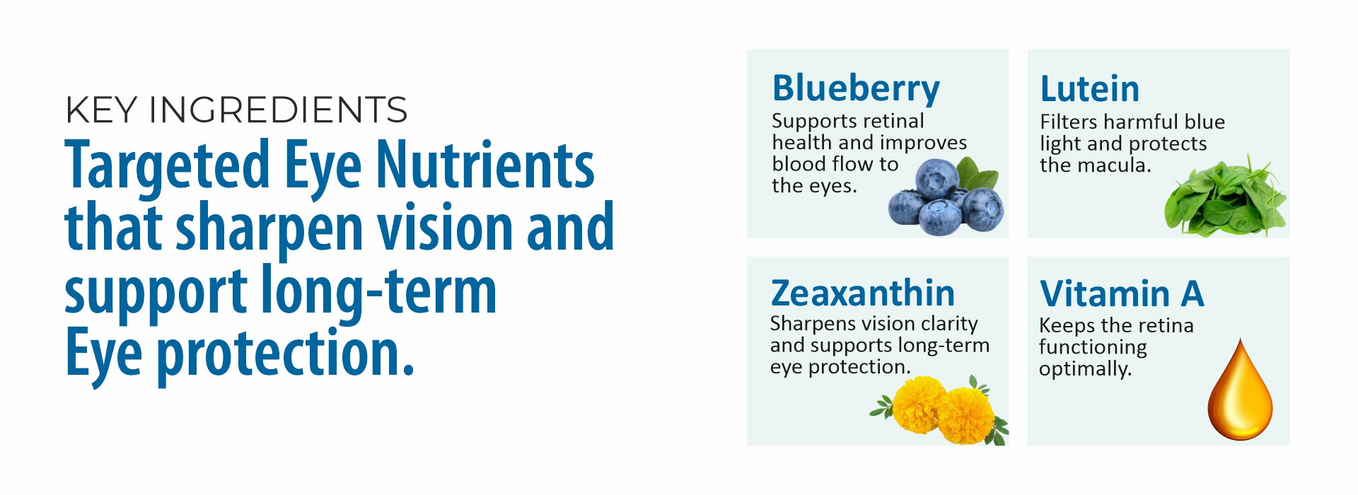Key ingredients for eye health with blueberry, lutein, zeaxanthin, and vitamin A on a white background.