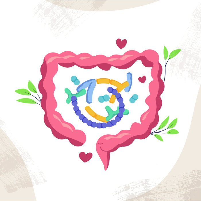 pink intestinal tract illustration and colorful gut bacteria design on a white background