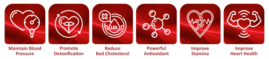 chiolesfix tablets benefits